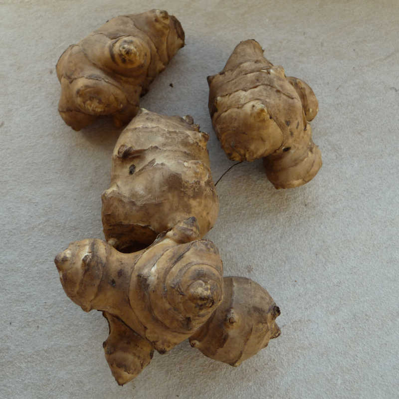 Aardpeer Witte